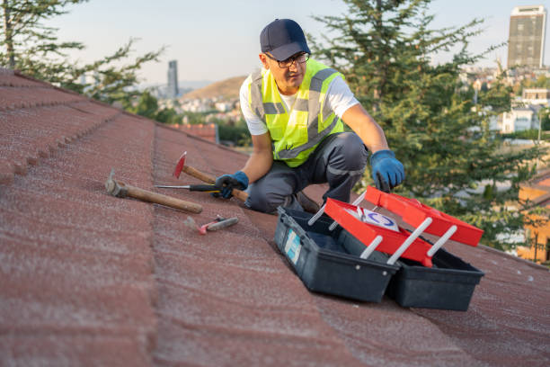 Best Storm Damage Siding Repair  in Lipscom, AL